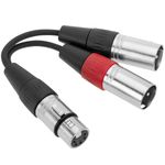 Duplicador de audio cannon XLR hembra a 2 XLR macho 5-pin - XO04600 - 02