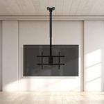 Soporte de techo XL para pantalla plana de 43" a 86" 60 Kg hasta VESA 400x400 - TQ29600 - 06